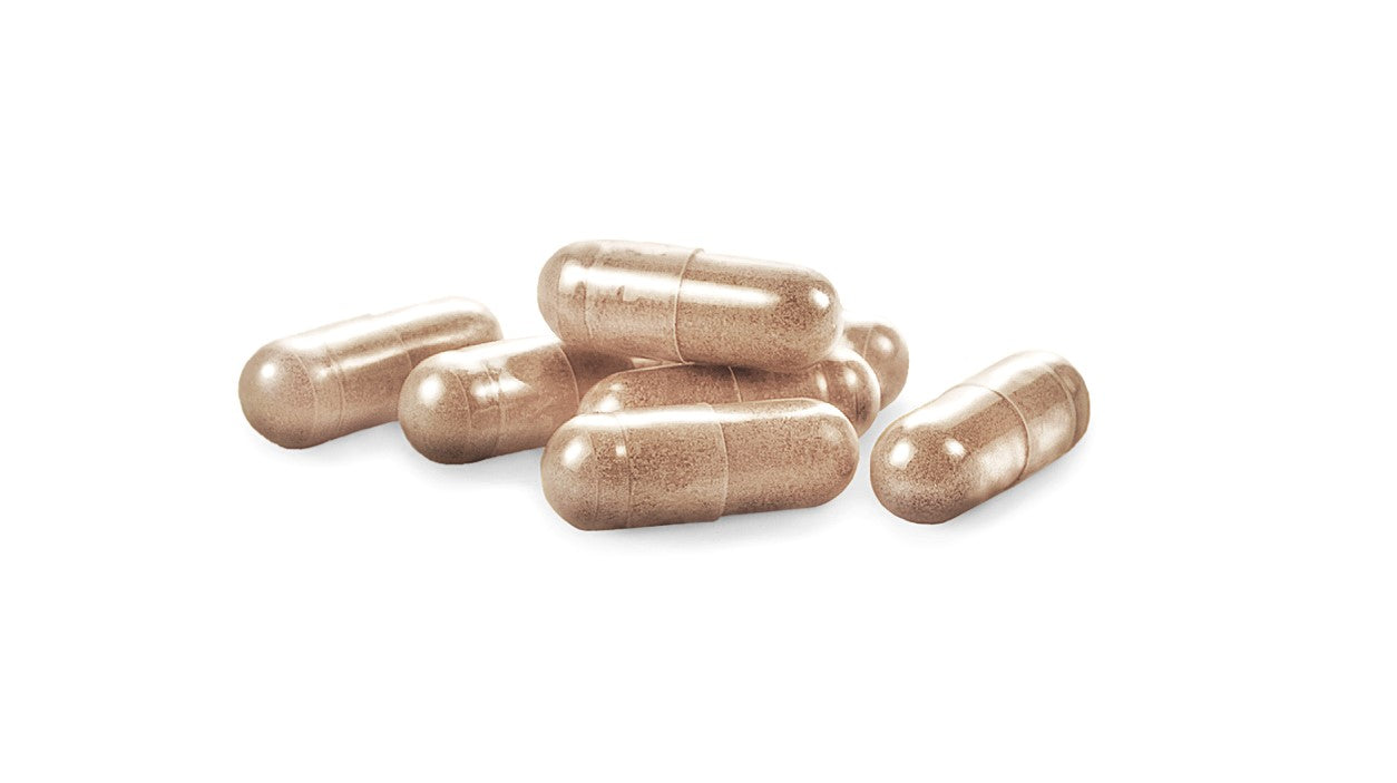 Reishi Caja 30 Cápsulas 2000 mg