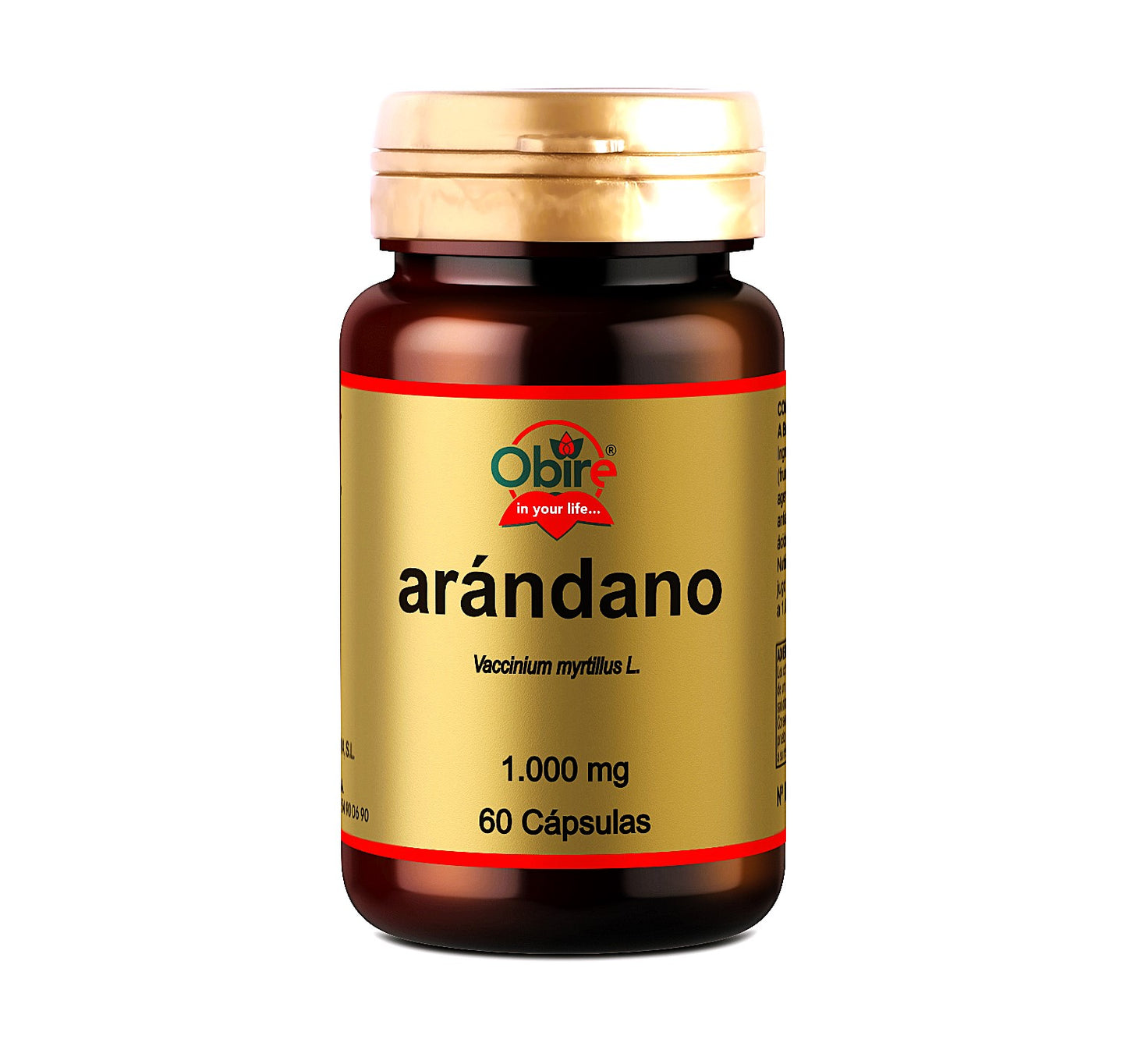Arándano Bote 1000 mg 60 cápsulas