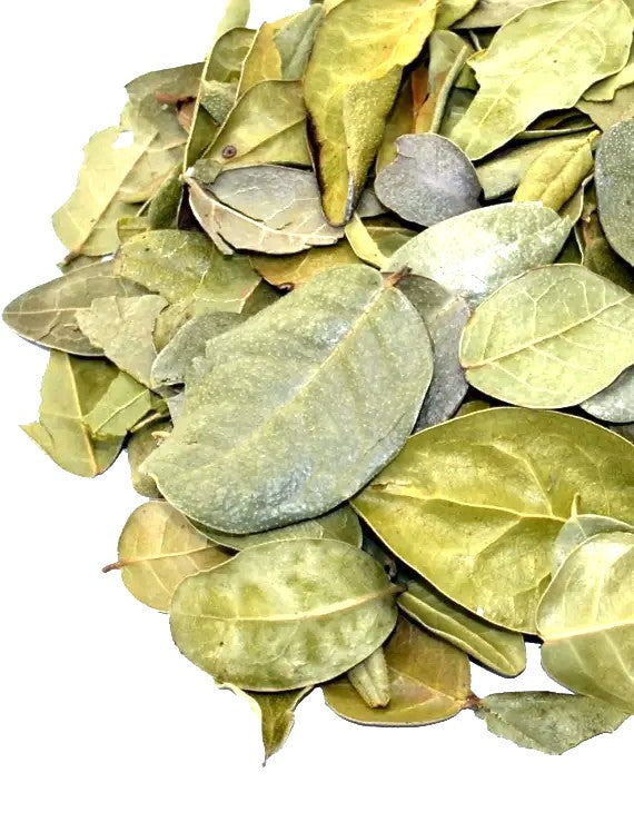 Boldo Hojas A granel 100 gr