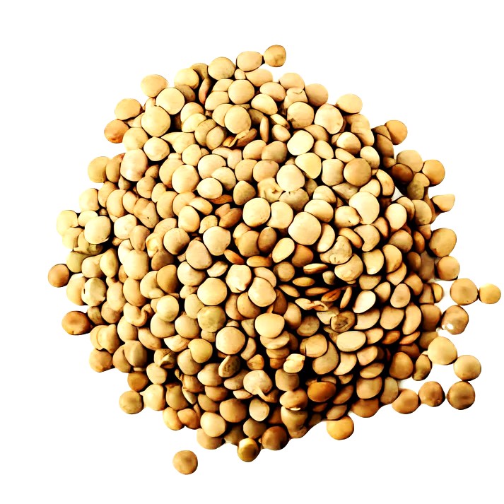 Lentejas Eston A granel 500 gr