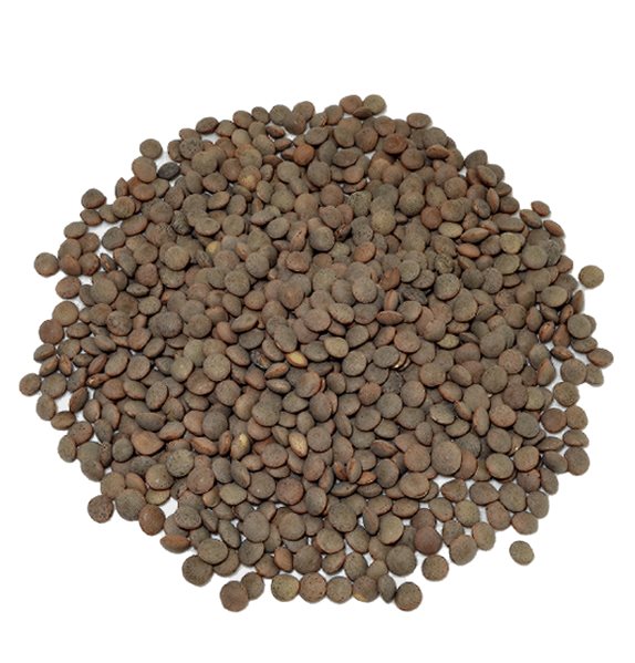 Lentejas Pardinas A granel 500 gr