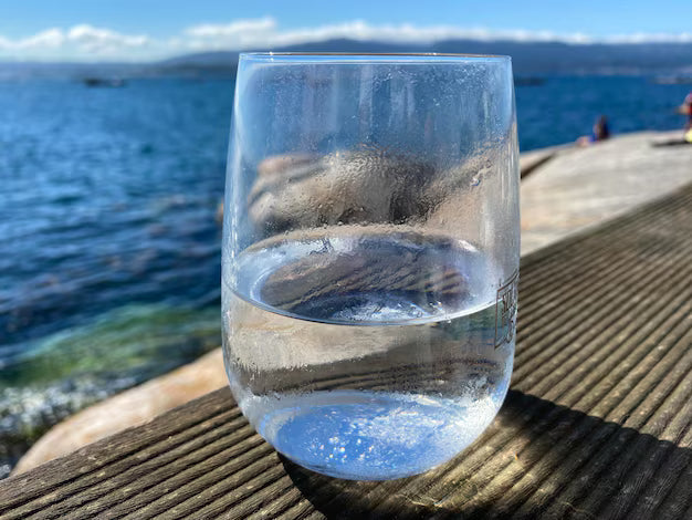 Botella Agua del Mar 2L