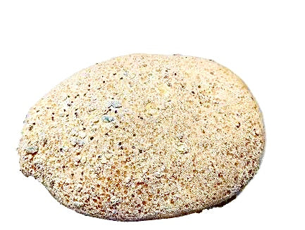 Molletes Quinoa Chía Paquete 6 und NO ENVÍO
