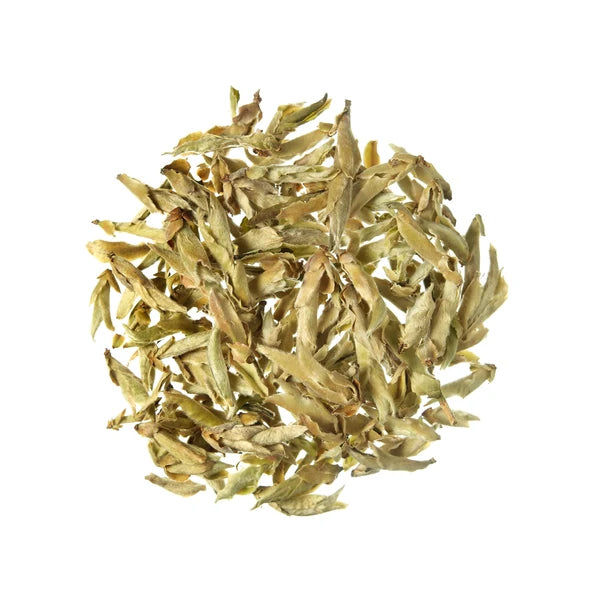 TÉ BLANCO Bio Ecológico Caja 20 bolsitas