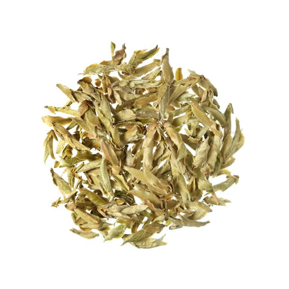 TÉ BLANCO Bio Ecológico Caja 20 bolsitas
