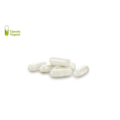Oseomax FORTE vegetal Caja 30 Cápsulas