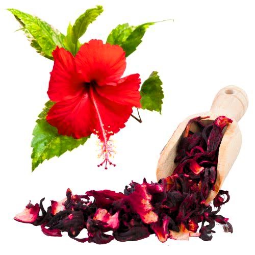 Infusión Hibiscus Caja 20 Bolsitas