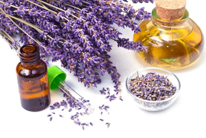Aceite Esencial Ecológico Lavanda Bote 10 ml