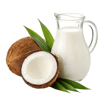 Agua con Leche de Coco Bio Brick 1L