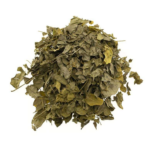 Moringa infusión A granel 100 gr